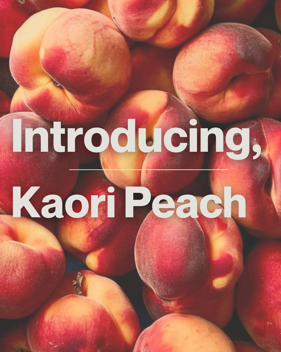 Kaori Peach Pre Order