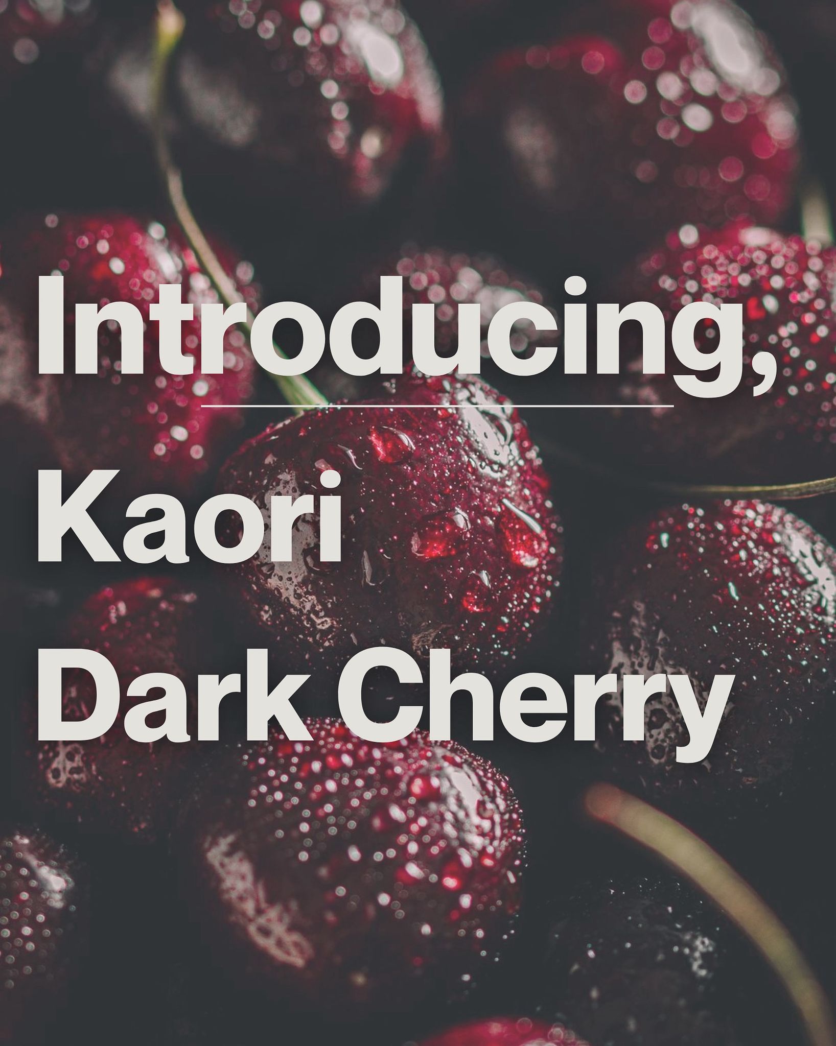 KAORI